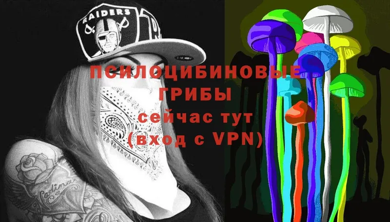 Галлюциногенные грибы Magic Shrooms  Николаевск 